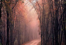 欧博ABG：教育部：重点吸引优秀足球退役运动员到中小学任教.